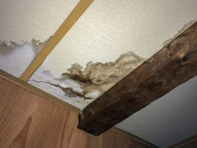 Professional ceiling water damage repair services in New Yorks - water damage cleanup